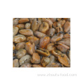 Frozen Cooked Mussel Meat on Sale